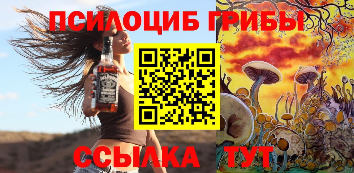 даркнет сайт  Псилоцибиновые грибы MAGIC MUSHROOMS  Вход с VPN  Псилоцибиновые грибы Psilocybine cubensis  Кувандык 